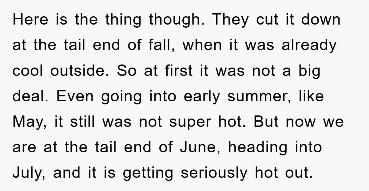 Here is the thing though. They cut it down at the tail end of fall, when it was already cool outside. So at first it was not a big deal....
