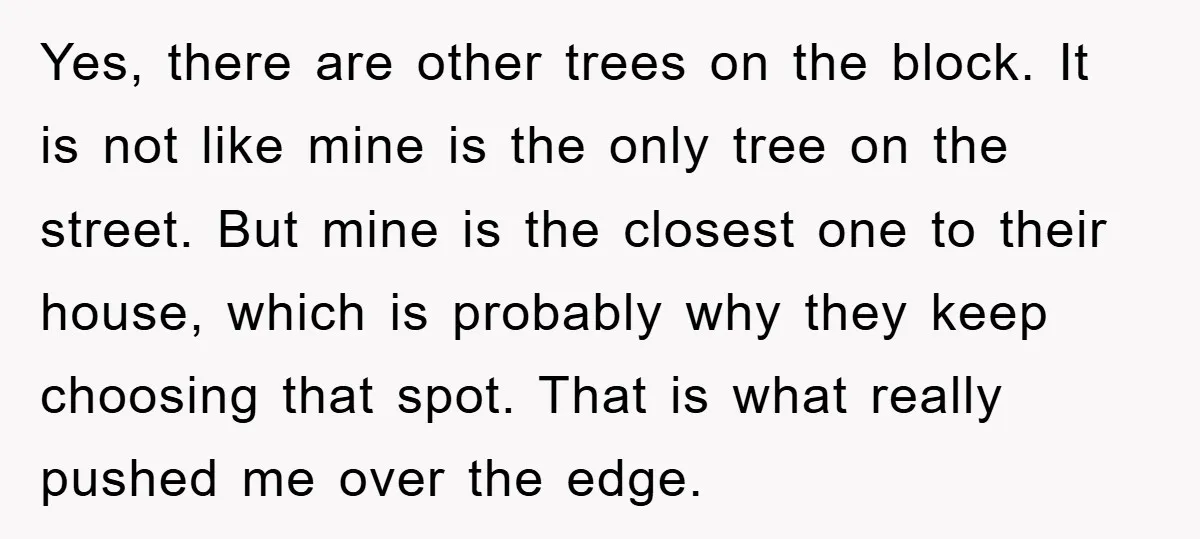 Yes, there are other trees on the block. It is not like mine is the only tree on the street. But mine is the closest one to their house, which...