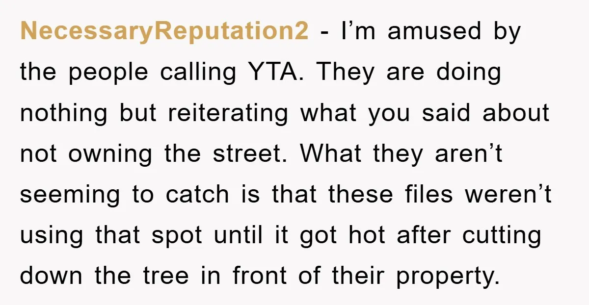 NecessaryReputation2 − I’m amused by the people calling YTA. They are doing nothing but reiterating what you said about not owning the street. What they aren’t seeming to catch is...