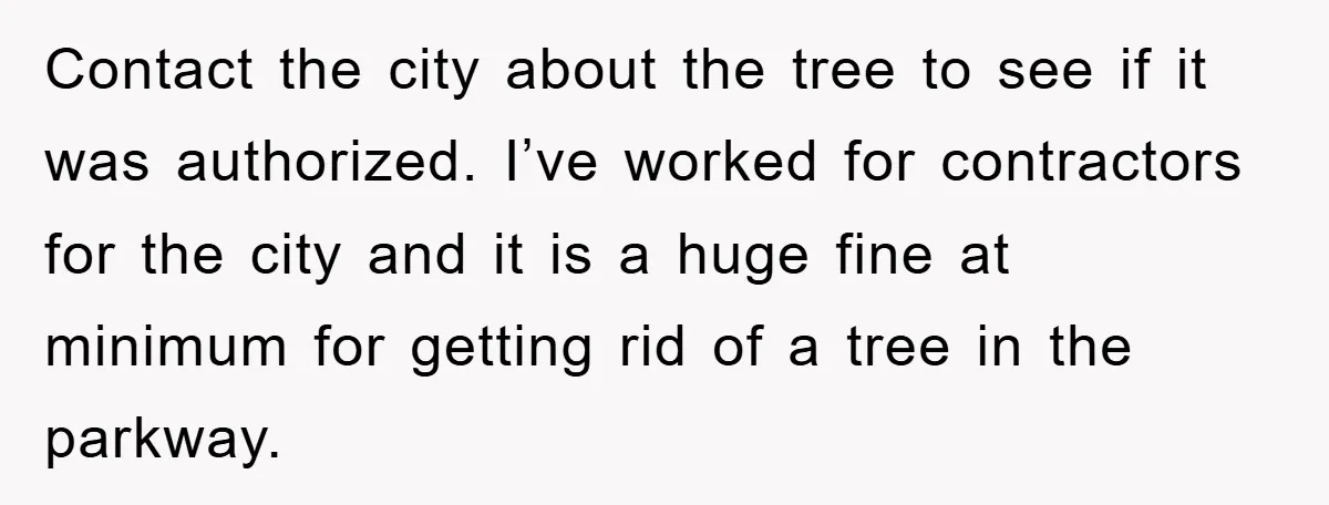 Contact the city about the tree to see if it was authorized. I’ve worked for contractors for the city and it is a huge fine at minimum for getting rid...