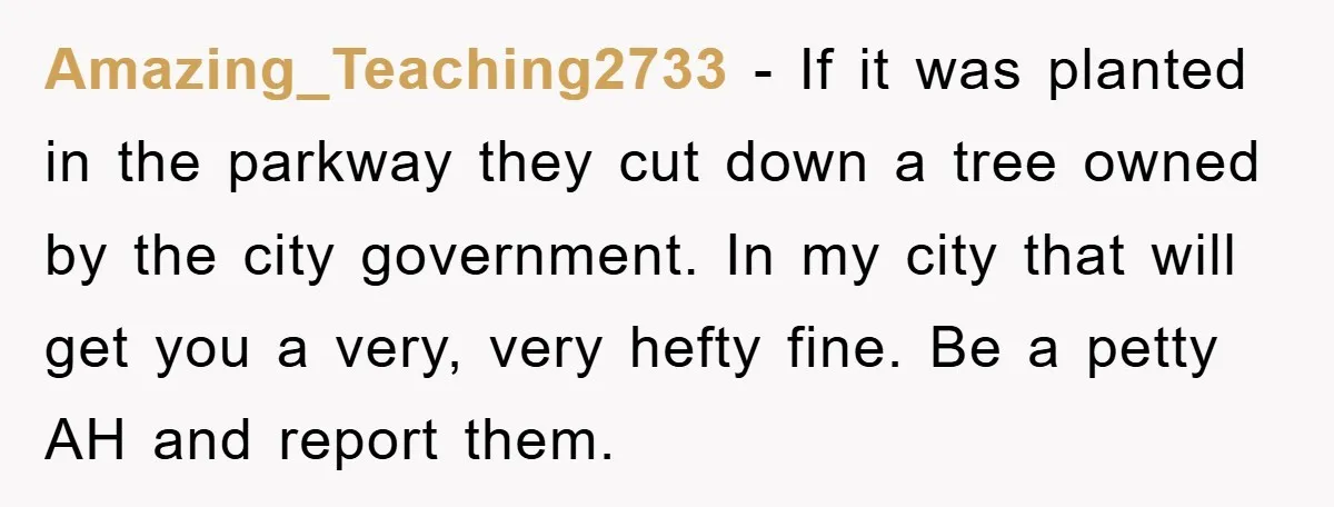 Amazing_Teaching2733 − If it was planted in the parkway they cut down a tree owned by the city government. In my city that will get you a very, very hefty...
