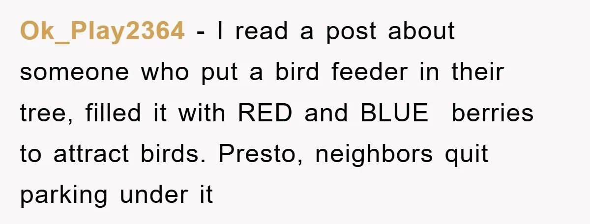 Ok_Play2364 − I read a post about someone who put a bird feeder in their tree, filled it with RED and BLUE berries to attract birds. Presto, neighbors quit parking...