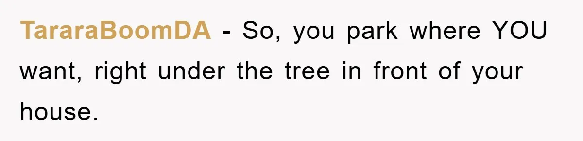TararaBoomDA − So, you park where YOU want, right under the tree in front of your house.