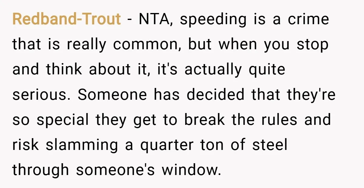 Redband-Trout − NTA, speeding is a crime that is really common, but when you stop and think about it, it's actually quite serious. Someone has decided that they're so special...