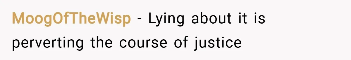 MoogOfTheWisp − Lying about it is perverting the course of justice