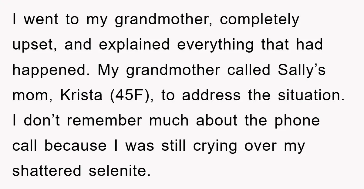 I went to my grandmother, completely upset, and explained everything that had happened. My grandmother called Sally’s mom, Krista (45F), to address the situation. I don’t remember much about the...