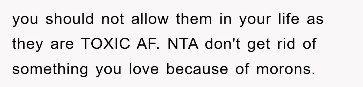 you should not allow them in your life as they are TOXIC AF. NTA don't get rid of something you love because of morons.