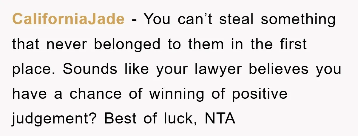 CaliforniaJade − You can’t steal something that never belonged to them in the first place. Sounds like your lawyer believes you have a chance of winning of positive judgement? Best...
