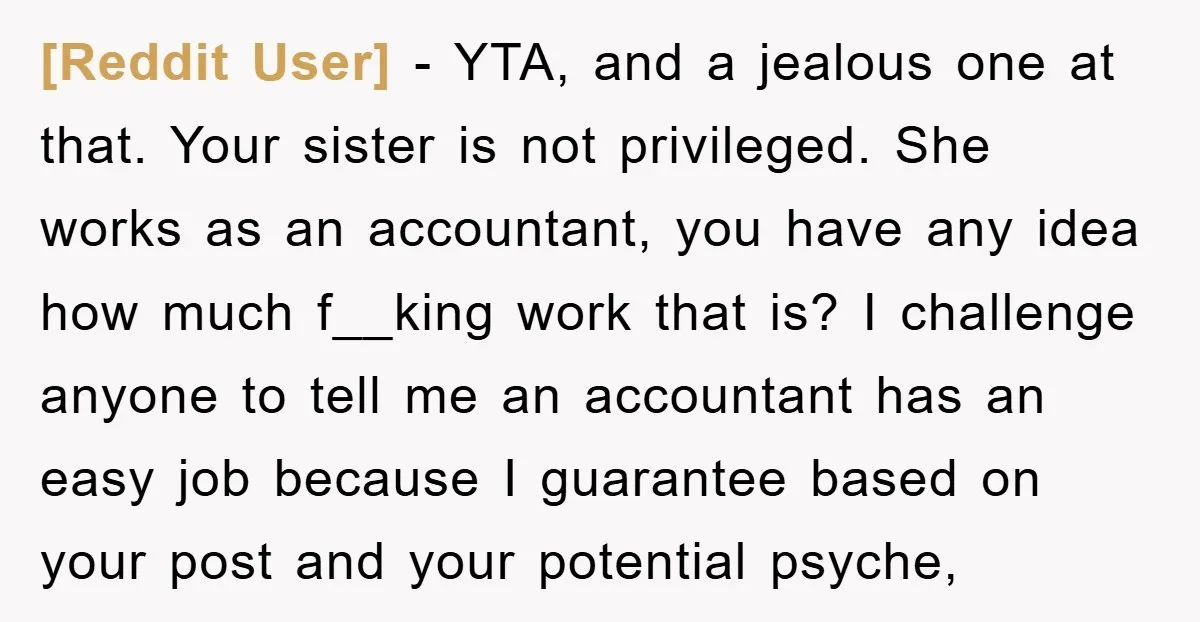 [Reddit User] − YTA, and a jealous one at that. Your sister is not privileged. She works as an accountant, you have any idea how much f__king work that is?...