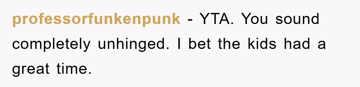 professorfunkenpunk - YTA. You sound completely unhinged. I bet the kids had a great time.