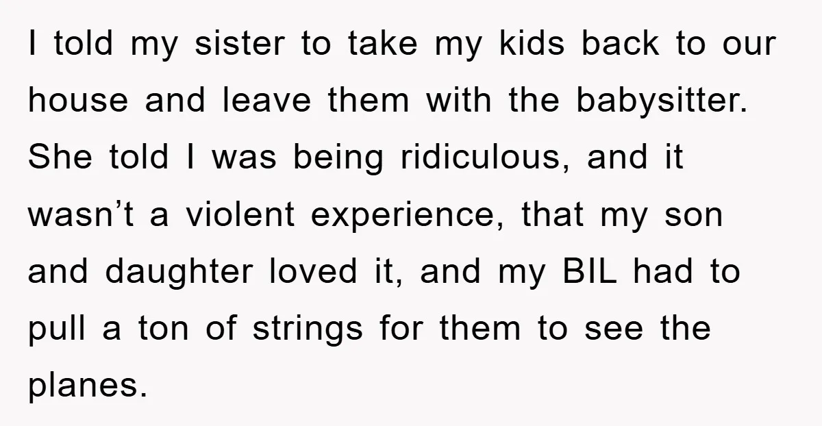 I told my sister to take my kids back to our house and leave them with the babysitter. She told I was being ridiculous, and it wasn’t a violent experience,...