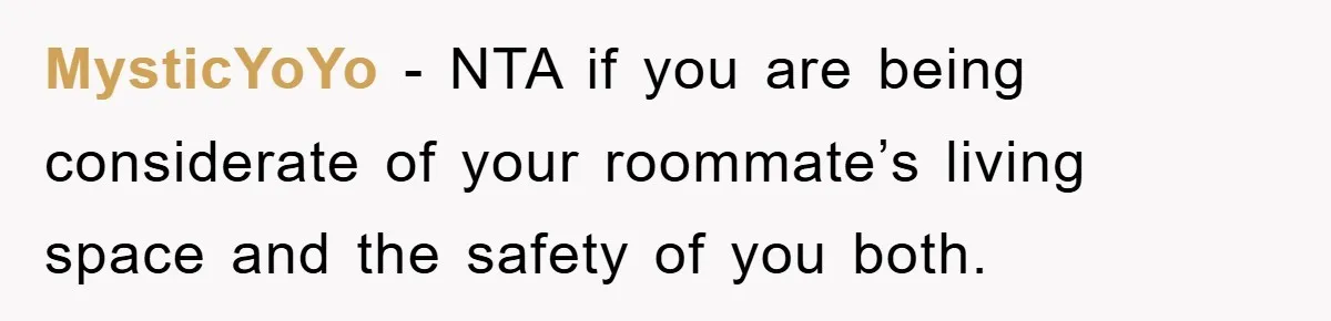 MysticYoYo − NTA if you are being considerate of your roommate’s living space and the safety of you both.