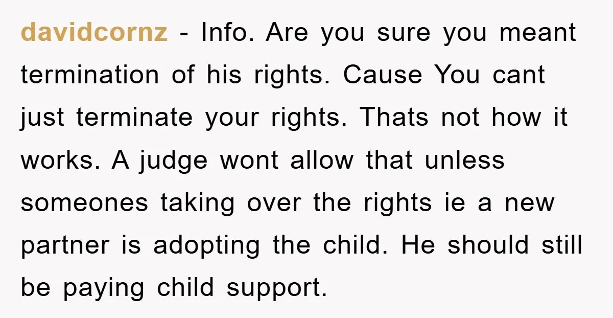 davidcornz − Info. Are you sure you meant termination of his rights. Cause You cant just terminate your rights. Thats not how it works. A judge wont allow that unless...