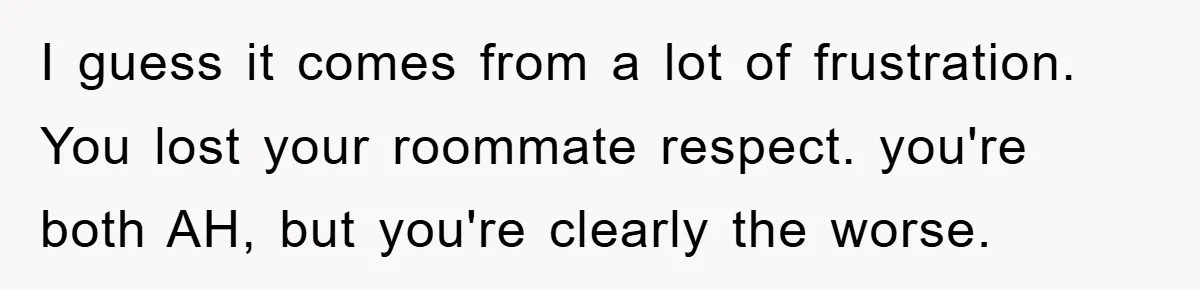 I guess it comes from a lot of frustration. You lost your roommate respect. you're both AH, but you're clearly the worse.