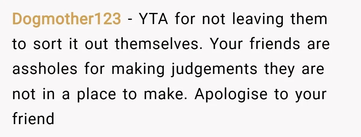 Dogmother123 − YTA for not leaving them to sort it out themselves. Your friends are assholes for making judgements they are not in a place to make. Apologise to your...