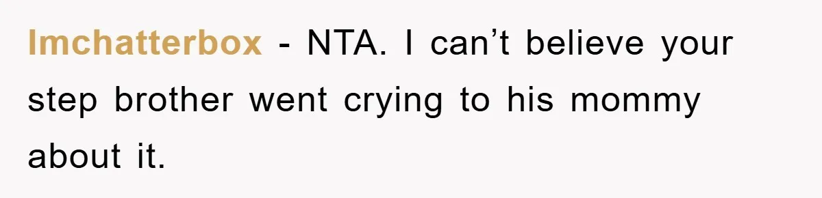 lmchatterbox − NTA. I can’t believe your step brother went crying to his mommy about it.