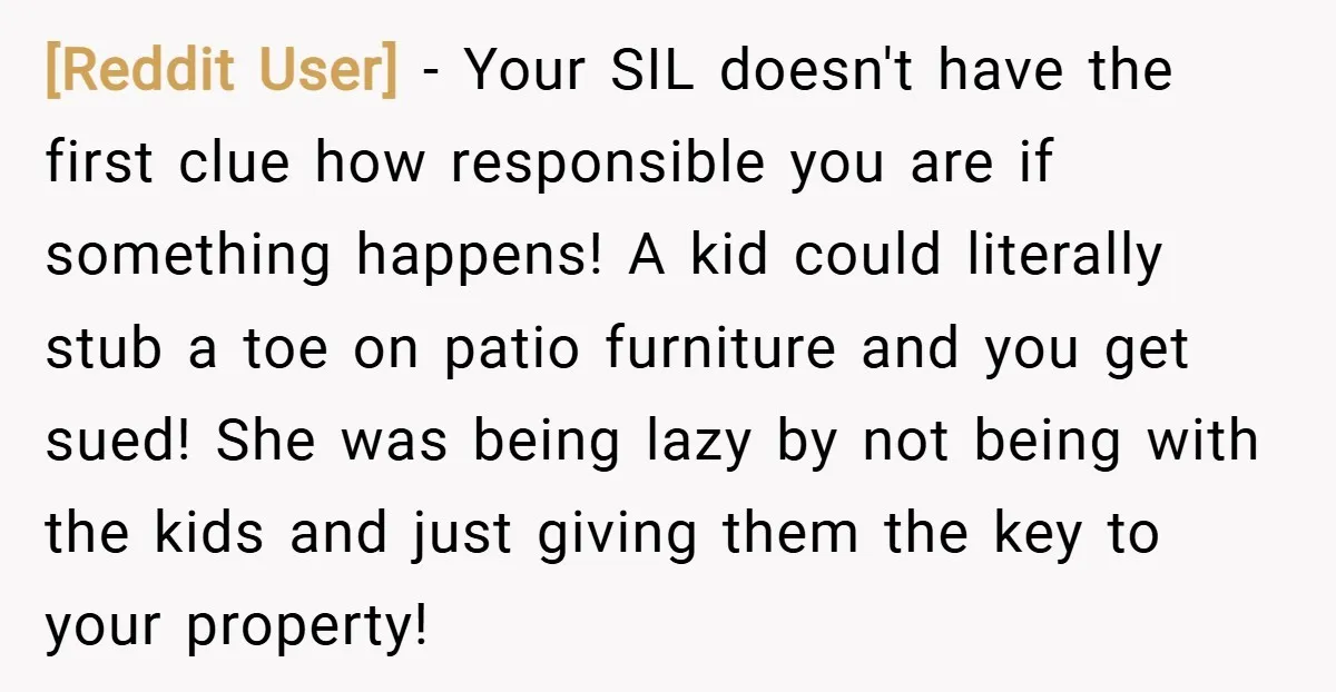 [Reddit User] − Your SIL doesn't have the first clue how responsible you are if something happens! A kid could literally stub a toe on patio furniture and you get...