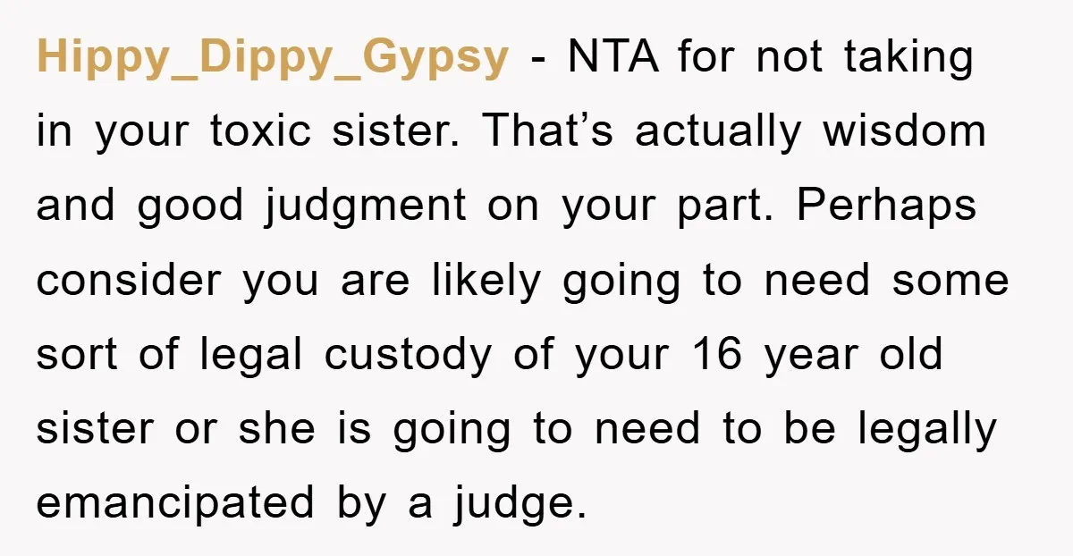 Hippy_Dippy_Gypsy − NTA for not taking in your toxic sister. That’s actually wisdom and good judgment on your part. Perhaps consider you are likely going to need some sort of...