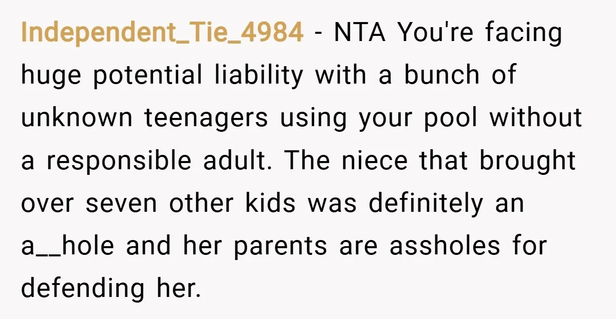 Independent_Tie_4984 − NTA You're facing huge potential liability with a bunch of unknown teenagers using your pool without a responsible adult. The niece that brought over seven other kids was...