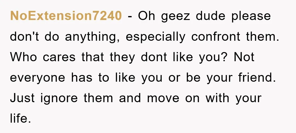 NoExtension7240 − Oh geez dude please don't do anything, especially confront them. Who cares that they dont like you? Not everyone has to like you or be your friend. Just...