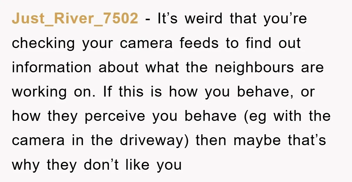 Just_River_7502 − It’s weird that you’re checking your camera feeds to find out information about what the neighbours are working on. If this is how you behave, or how they...