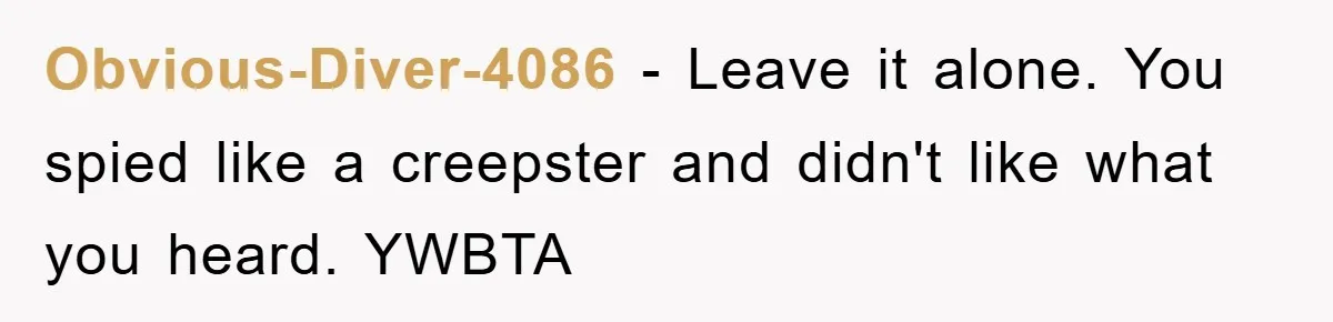 Obvious-Diver-4086 − Leave it alone. You spied like a creepster and didn't like what you heard. YWBTA