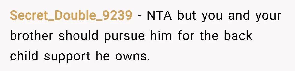Secret_Double_9239 − NTA but you and your brother should pursue him for the back child support he owns.
