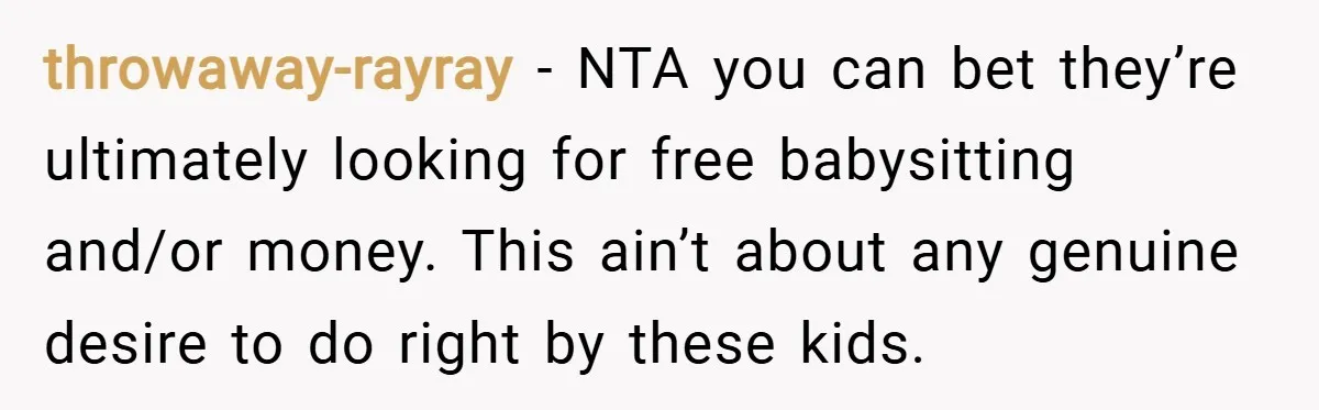 throwaway-rayray − NTA you can bet they’re ultimately looking for free babysitting and/or money. This ain’t about any genuine desire to do right by these kids.