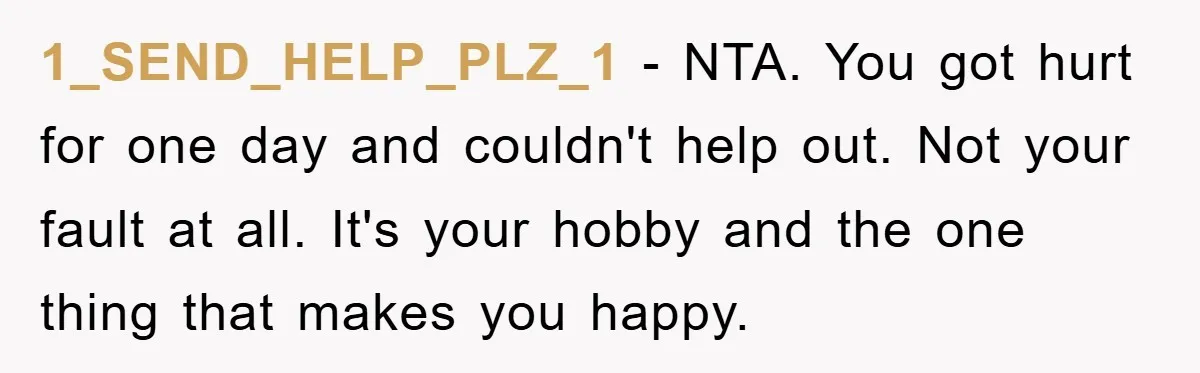 1_SEND_HELP_PLZ_1 − NTA. You got hurt for one day and couldn't help out. Not your fault at all. It's your hobby and the one thing that makes you happy.