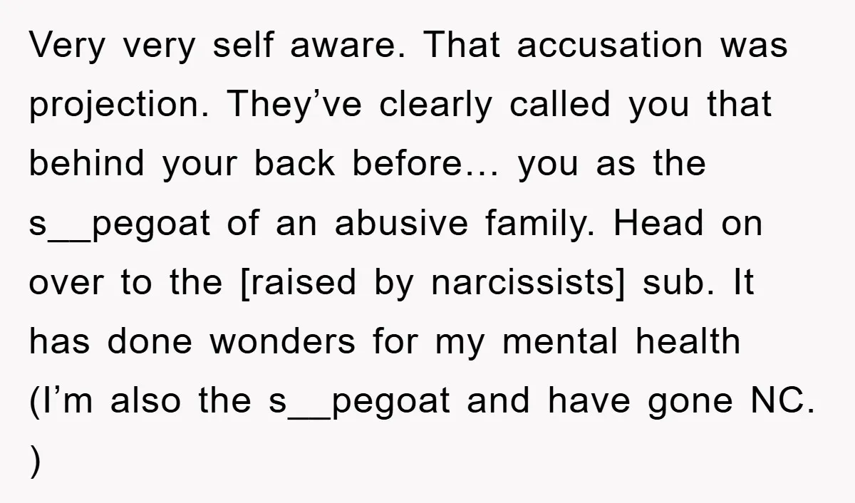 Very very self aware. That accusation was projection. They’ve clearly called you that behind your back before… you as the s__pegoat of an abusive family. Head on over to the...