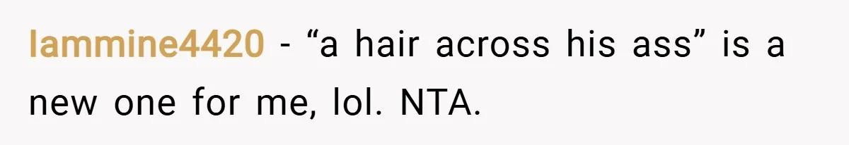 Iammine4420 − “a hair across his ass” is a new one for me, lol. NTA.