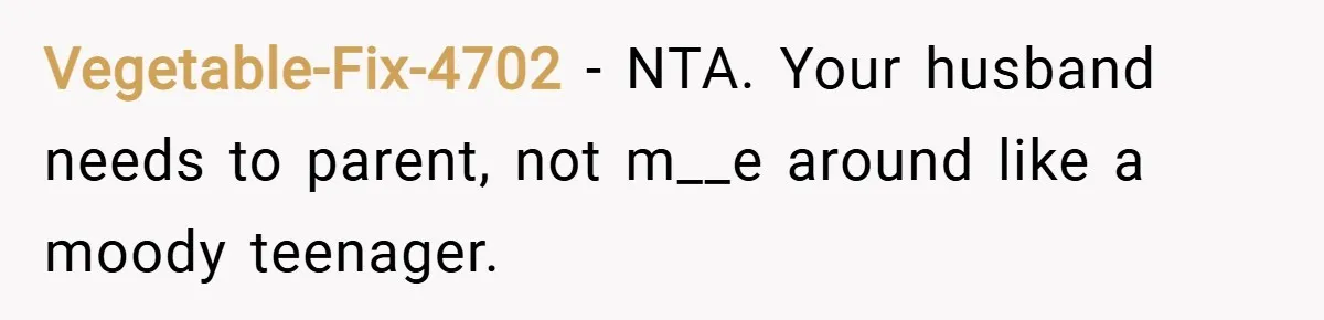 Vegetable-Fix-4702 − NTA. Your husband needs to parent, not m__e around like a moody teenager.