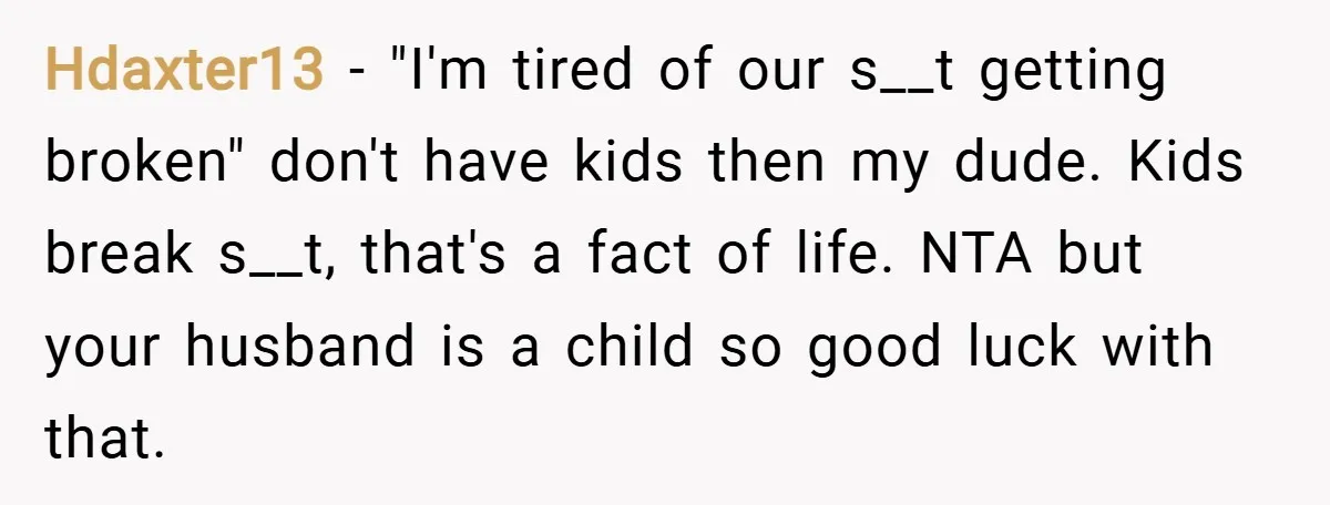Hdaxter13 − "I'm tired of our s__t getting broken" don't have kids then my dude. Kids break s__t, that's a fact of life. NTA but your husband is a child...