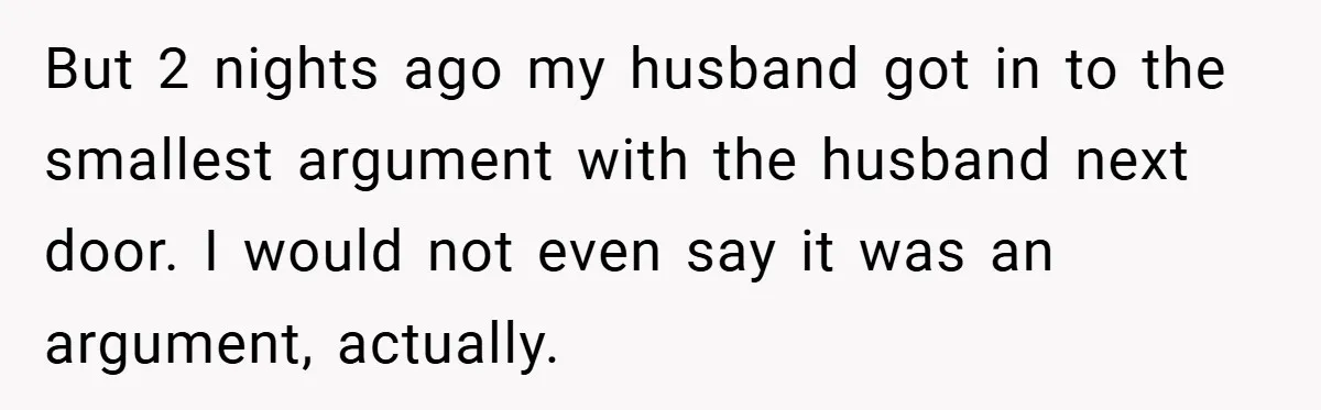 But 2 nights ago my husband got in to the smallest argument with the husband next door. I would not even say it was an argument, actually.