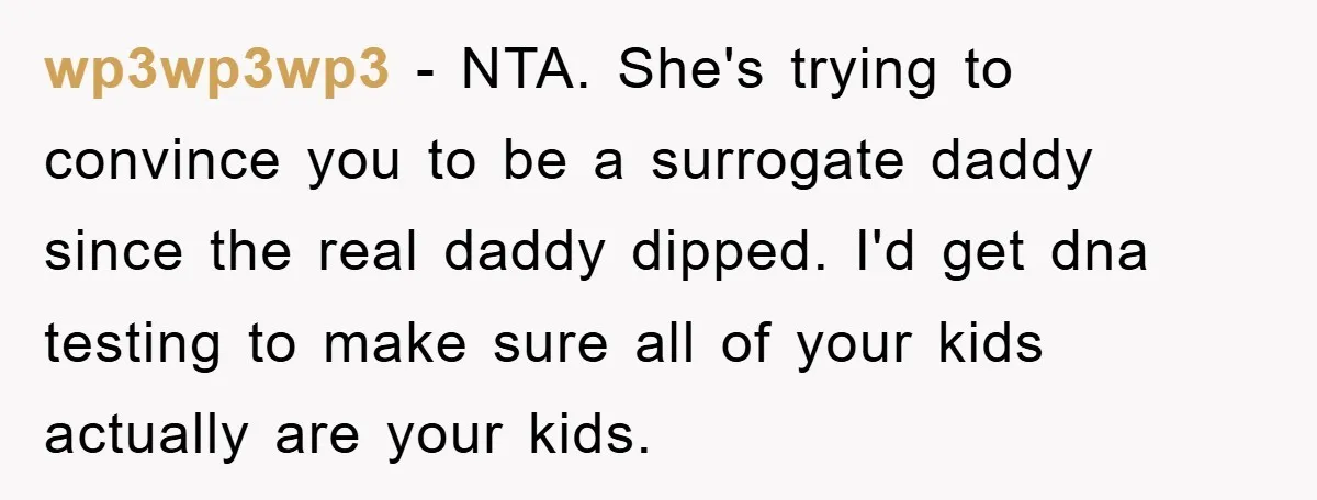 wp3wp3wp3 - NTA. She's trying to convince you to be a surrogate daddy since the real daddy dipped. I'd get dna testing to make sure all of your kids actually...
