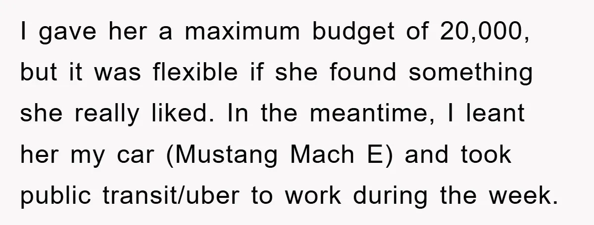 I gave her a maximum budget of 20,000, but it was flexible if she found something she really liked. In the meantime, I leant her my car (Mustang Mach E)...