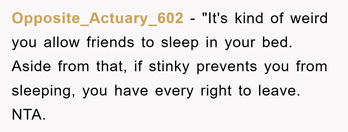 Opposite_Actuary_602 - "It's kind of weird you allow friends to sleep in your bed. Aside from that, if stinky prevents you from sleeping, you have every right to leave. NTA.