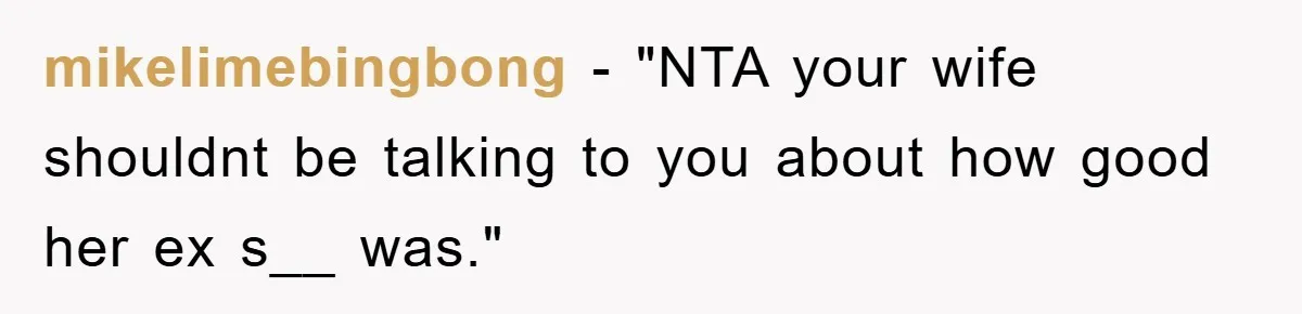 mikelimebingbong - "NTA your wife shouldnt be talking to you about how good her ex s__ was."