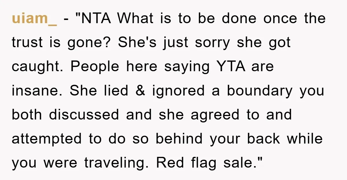 uiam_ - "NTA What is to be done once the trust is gone? She's just sorry she got caught. People here saying YTA are insane. She lied & ignored a...