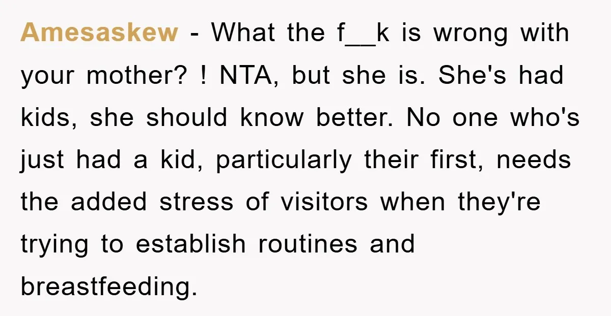 Amesaskew − What the f__k is wrong with your mother? ! NTA, but she is. She's had kids, she should know better. No one who's just had a kid, particularly...