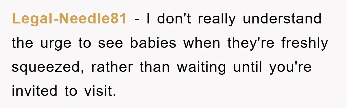 Legal-Needle81 − I don't really understand the urge to see babies when they're freshly squeezed, rather than waiting until you're invited to visit.