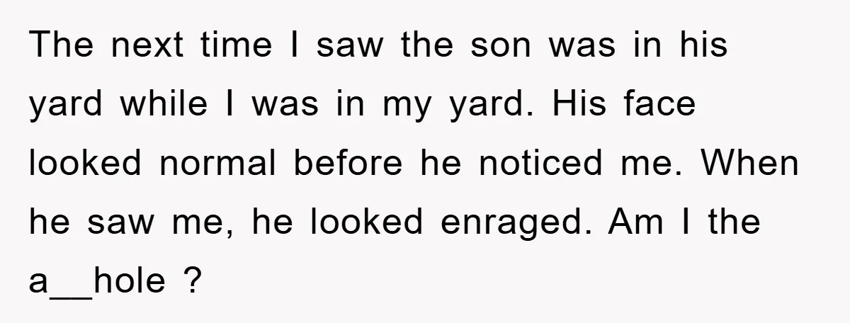 The next time I saw the son was in his yard while I was in my yard. His face looked normal before he noticed me. When he saw me, he...