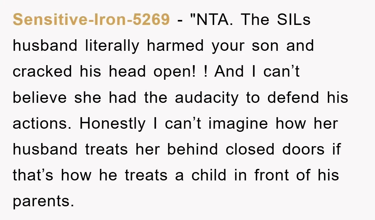 Sensitive-Iron-5269 - "NTA. The SILs husband literally harmed your son and cracked his head open! ! And I can’t believe she had the audacity to defend his actions. Honestly I...