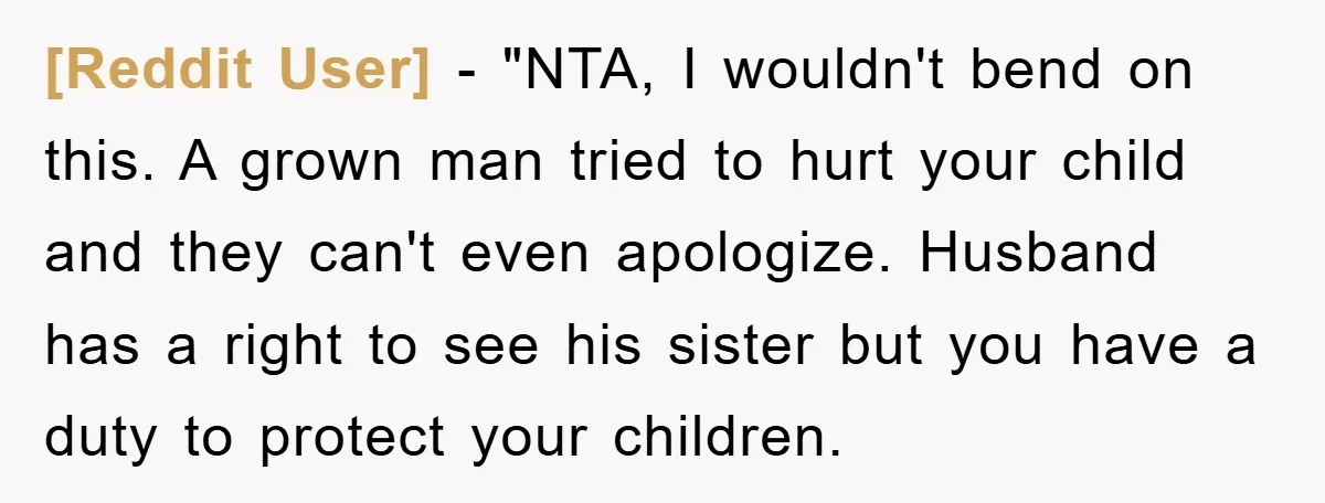 [Reddit User] - "NTA, I wouldn't bend on this. A grown man tried to hurt your child and they can't even apologize. Husband has a right to see his sister...