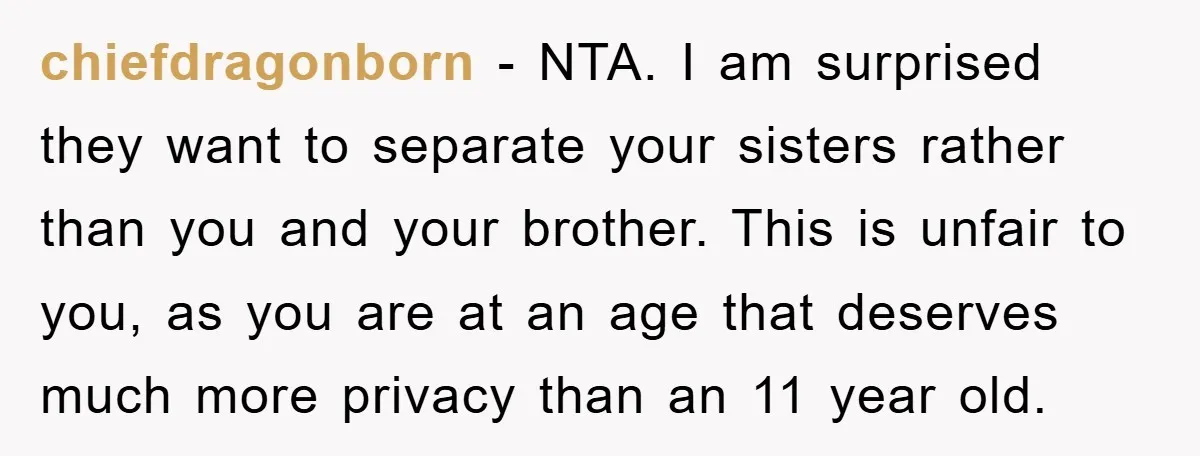 chiefdragonborn − NTA. I am surprised they want to separate your sisters rather than you and your brother. This is unfair to you, as you are at an age that...