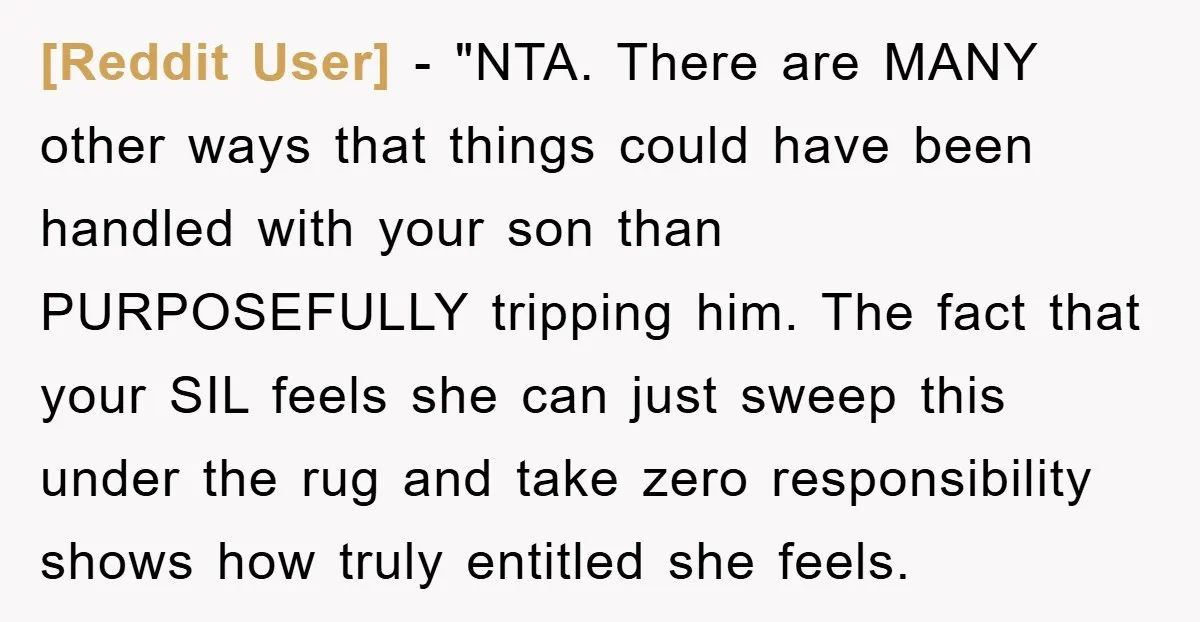 [Reddit User] - "NTA. There are MANY other ways that things could have been handled with your son than PURPOSEFULLY tripping him. The fact that your SIL feels she can...