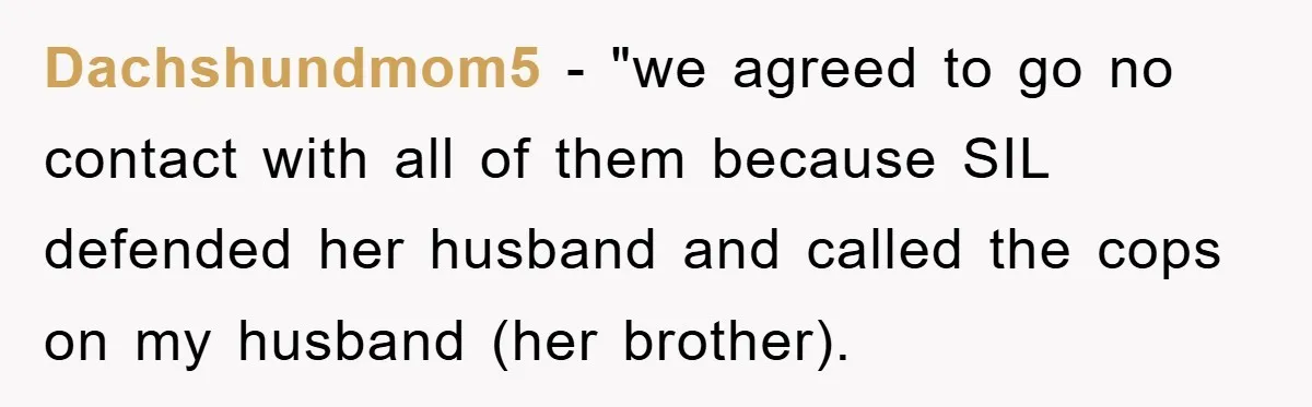 Dachshundmom5 - "we agreed to go no contact with all of them because SIL defended her husband and called the cops on my husband (her brother).