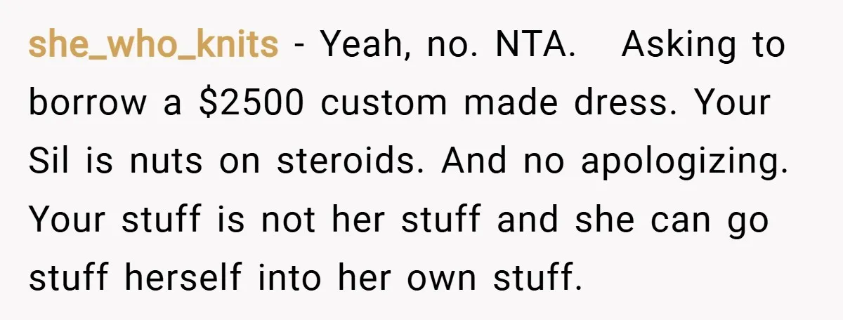 she_who_knits − Yeah, no. NTA. Asking to borrow a $2500 custom made dress. Your Sil is nuts on steroids. And no apologizing. Your stuff is not her stuff and she...