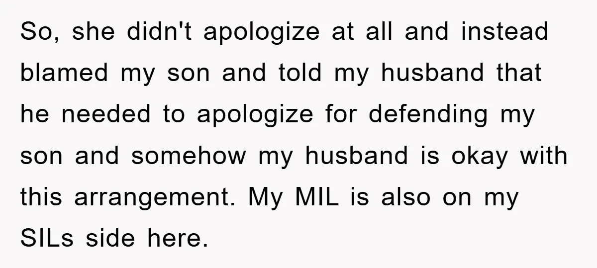 So, she didn't apologize at all and instead blamed my son and told my husband that he needed to apologize for defending my son and somehow my husband is okay...
