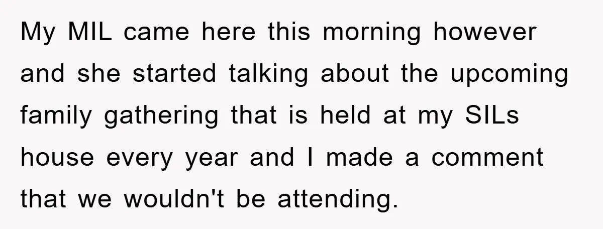 My MIL came here this morning however and she started talking about the upcoming family gathering that is held at my SILs house every year and I made a comment...